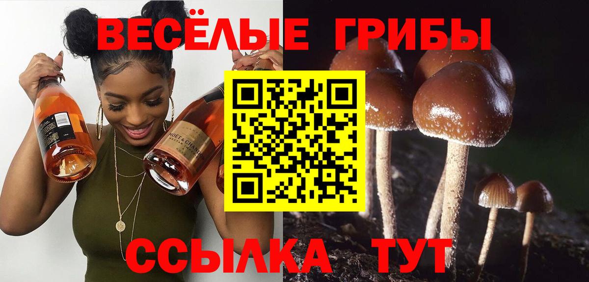 Псилоцибиновые грибы MAGIC MUSHROOMS Кисловодск