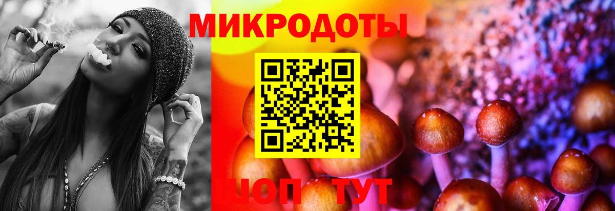 Кисловодск  где можно купить наркотик  Вход с VPN  Галлюциногенные грибы Magic Shrooms 